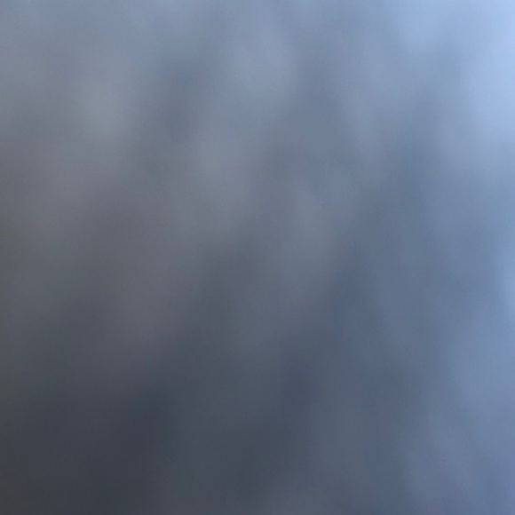 Meet your Posher, Lilly - Picture 1 of 1